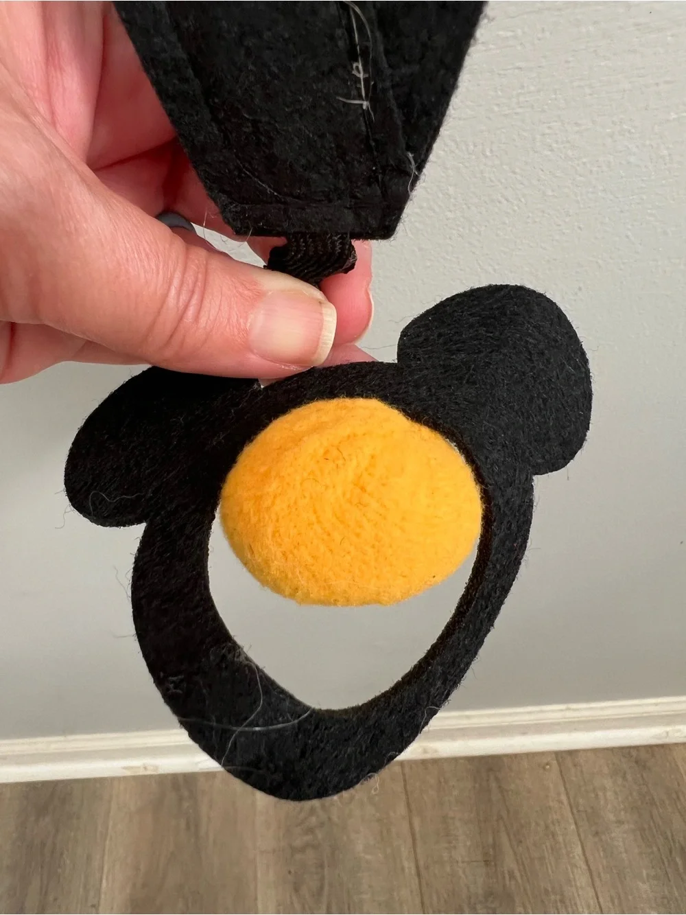 Disney-Inspired Red 